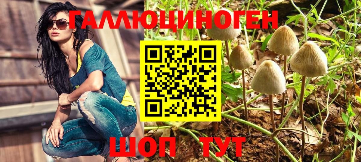Галлюциногенные грибы GOLDEN TEACHER Еманжелинск